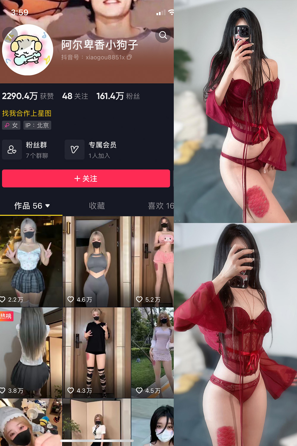 抖音 阿尔卑香小狗子 微密圈  NO.056期 【10P2V】最新至：2024.8.25-微密圈